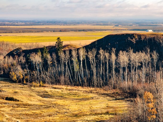 Kleskun Hill - Alberta's Flat Plains