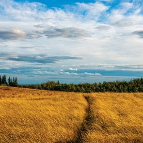 Kleskun Hill Natural Area - Prairie Grassland