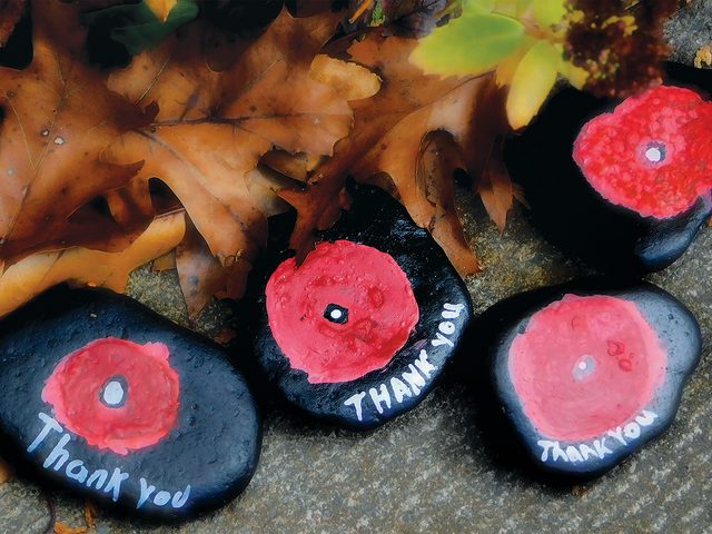 Remembrance Day painted stones