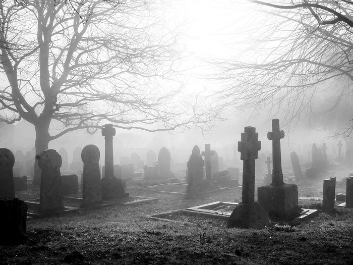 Spooky foggy cemetery