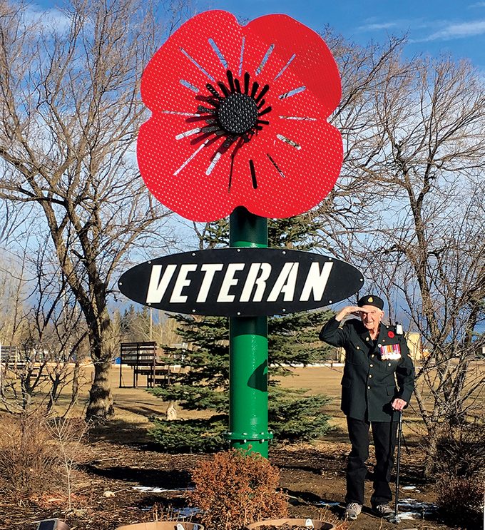Veteran, Alberta - Big Poppy