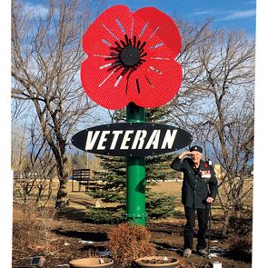 Veteran, Alberta - Big Poppy