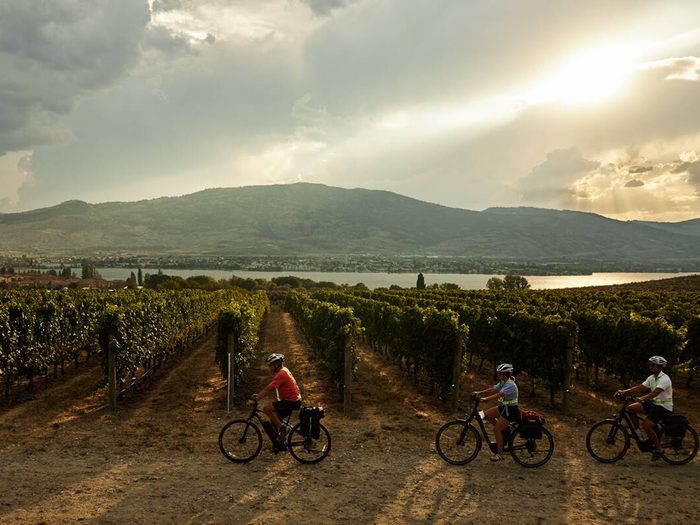 West coast Canada - winery tour on e-bikes