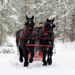 5 Sleigh Rides in Ontario You’ll Want to Experience This Winter