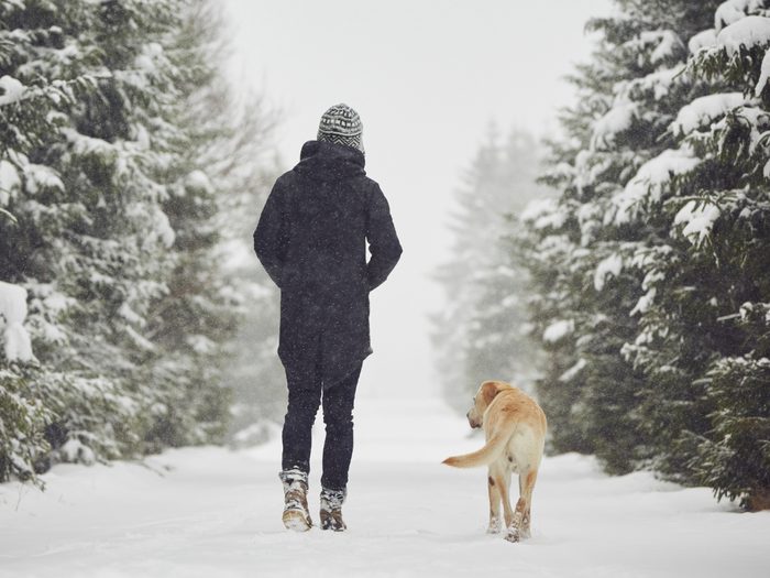 Winter Walk With Dog