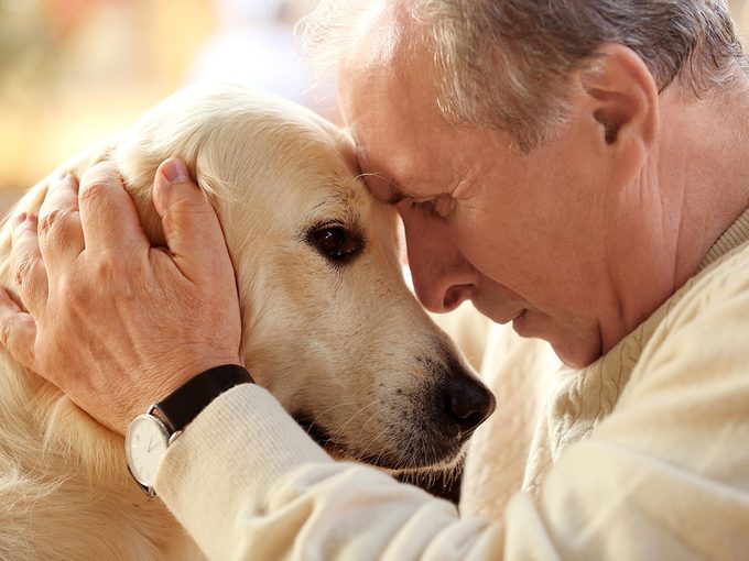 End of life care for pet - man hugging dog