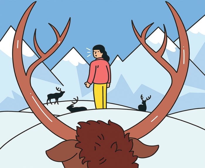 Girl Vs Elk Illustration