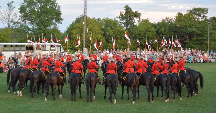 Horse Pictures - RCMP Musical Ride Norma Keith