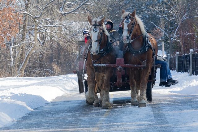 Horse pictures - Sleigh Ride in Storybook Gardens