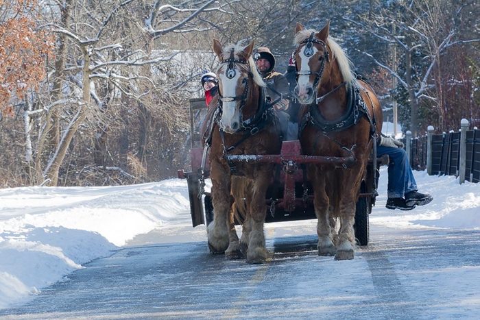 Horse pictures - Sleigh Ride in Storybook Gardens