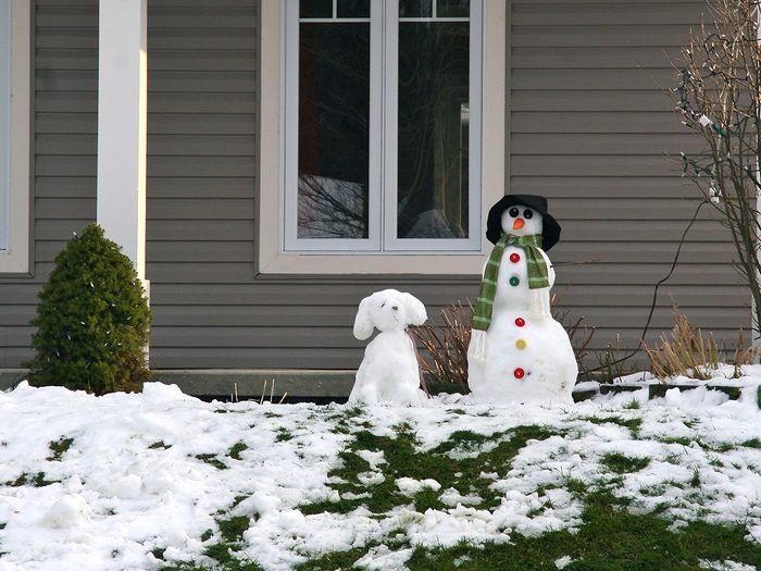 Snowman And Snowdog Melting