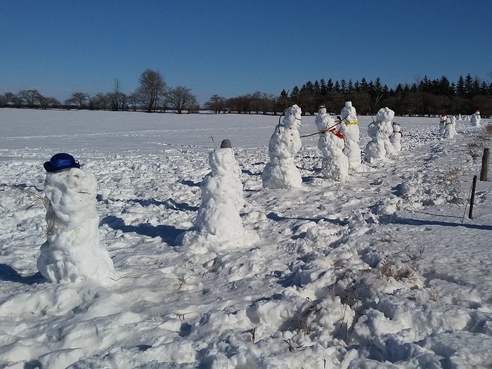 Snowman Pictures - Row Of Snowmen