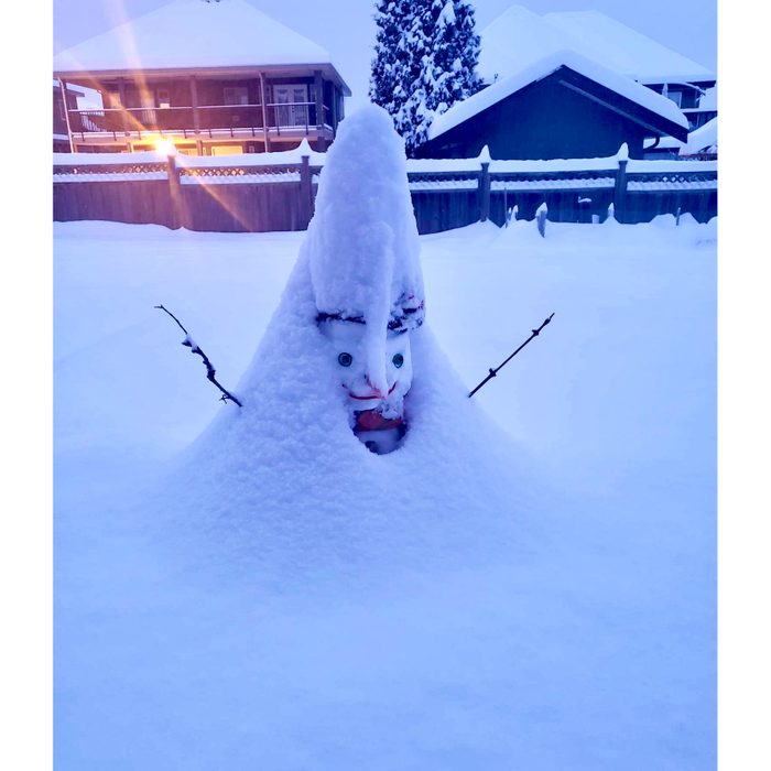 West Coast Snowman - After