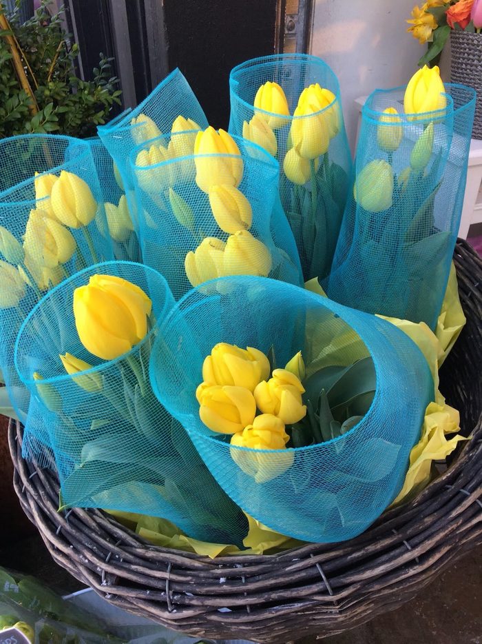 Bunches Of Yellow Tulips