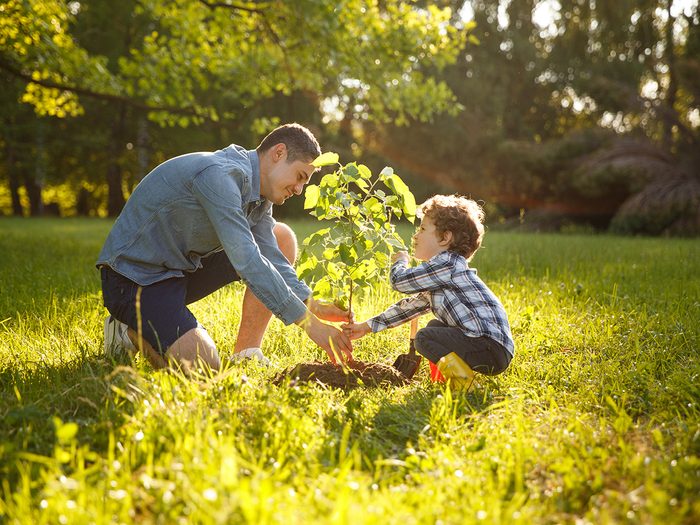 Father and son planting tree