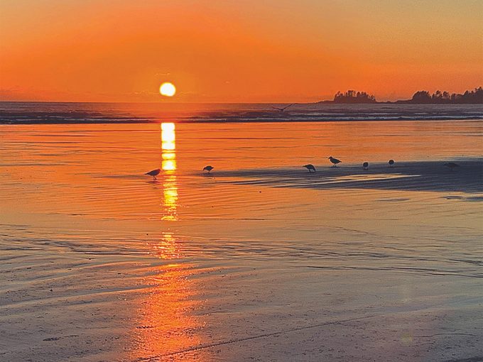 Living on Vancouver Island - Long Beach sunset