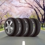 What Happens If You Don’t Remove Your Winter Tires in the Spring?
