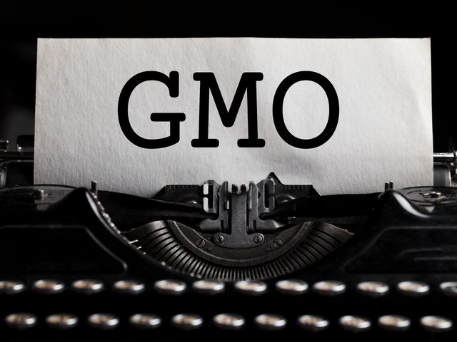What does GMO stand for?