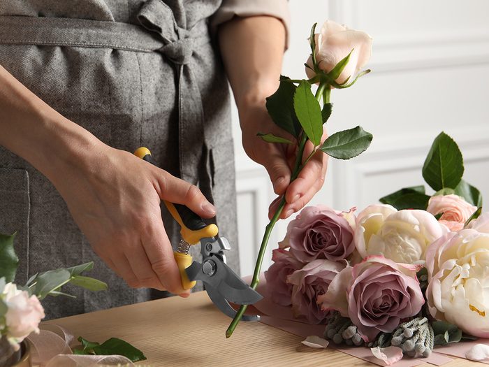 Person Cutting Flower Image Stem Five
