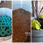 If You’re Not Adding Pool Noodles to Your Planter Pots, This Will Convince You to Start