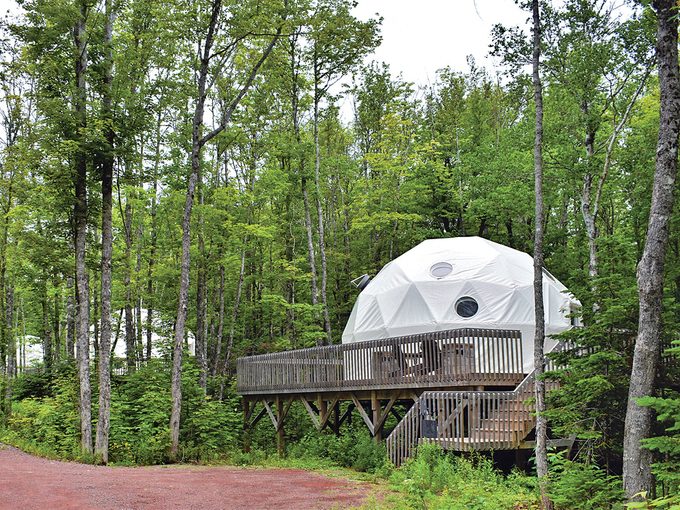 Treetop Haven Geodesic Domes