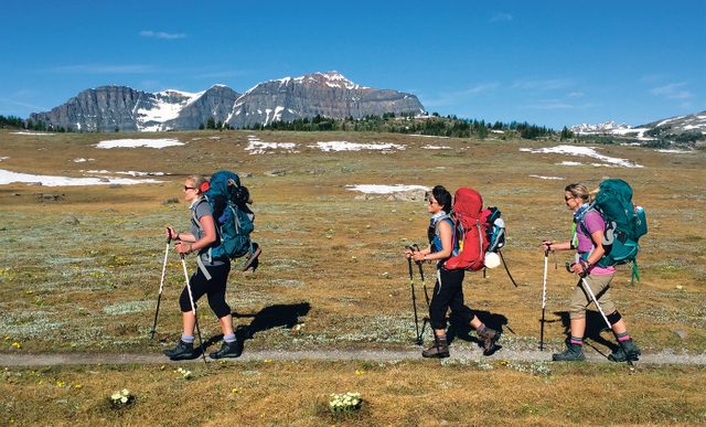 Mount Assiniboine Hike - Three Hikers On Trail