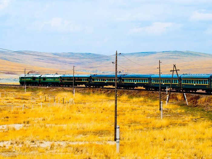 Train in yellow field 