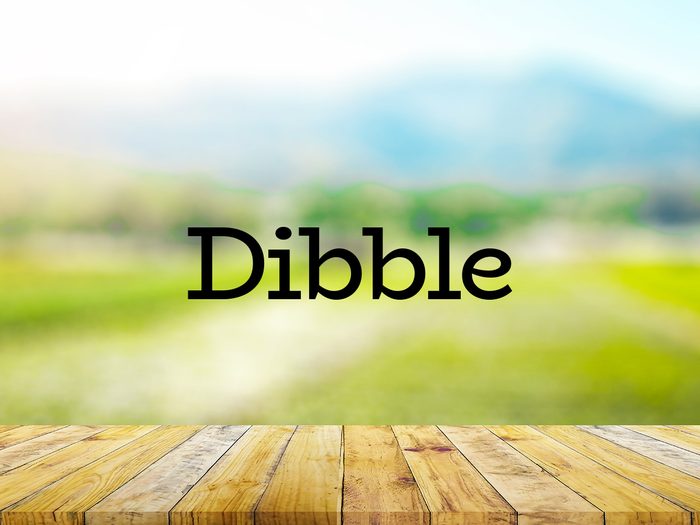 The word dibble on green background
