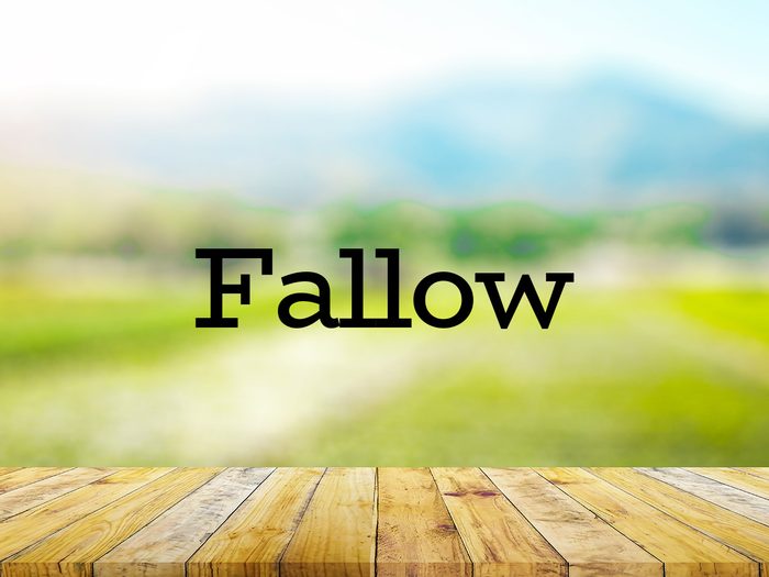 The word fallow on green background