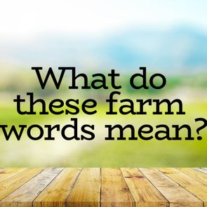 Word Power Quiz - What do these farm words mean?