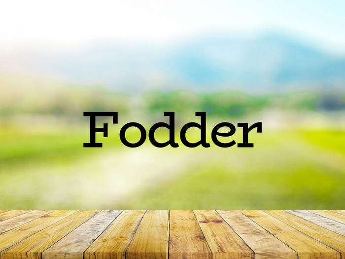 The word fodder on green background