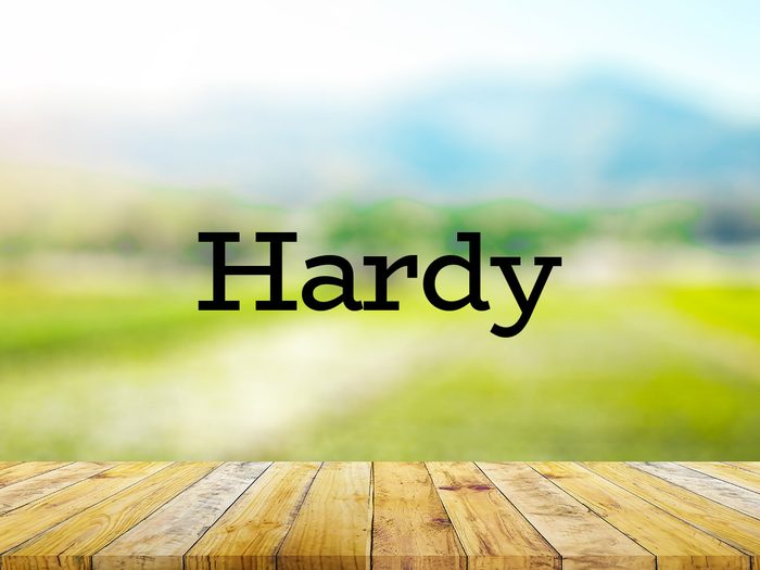 The word hardy on green background
