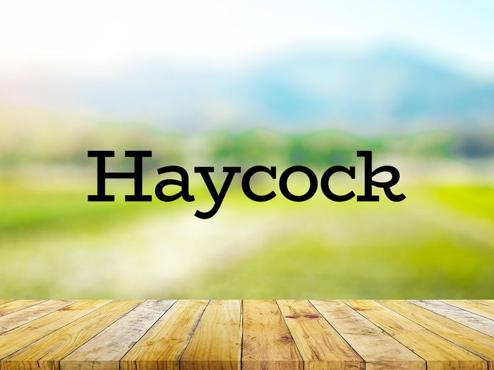 The word haycock on green background