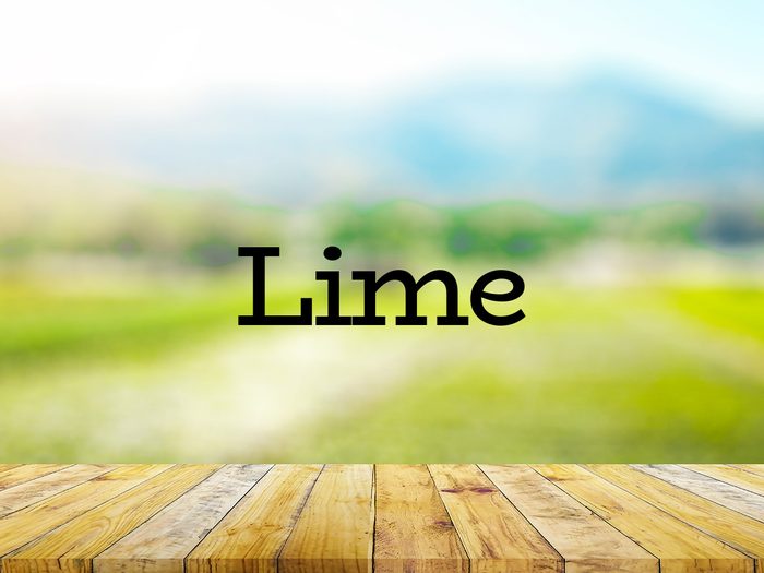 The word lime on green background