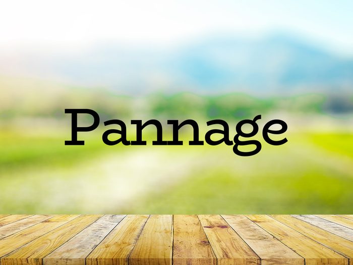 The word pannage on green background