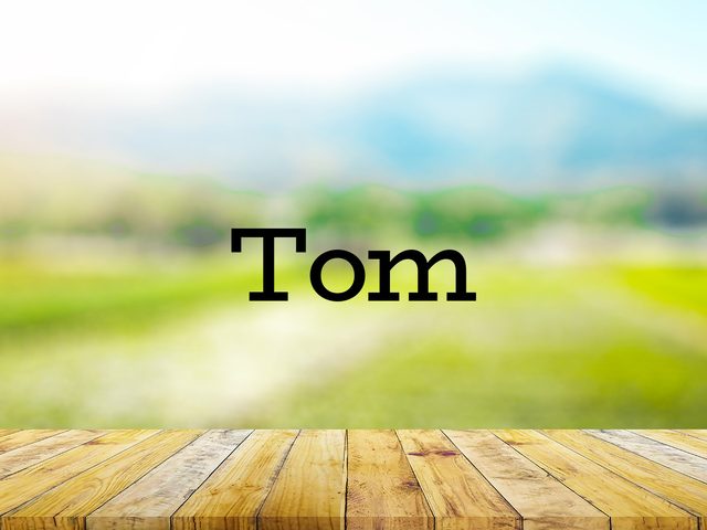 The word tom on green background