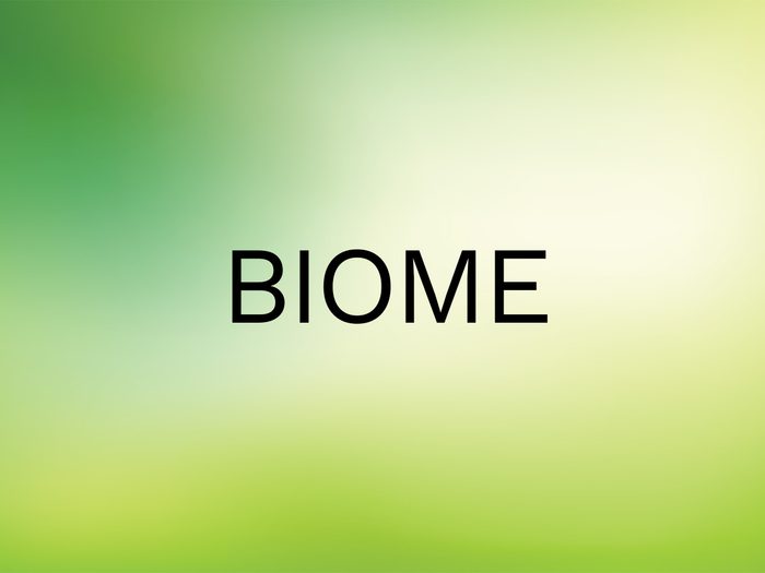 Wordle Answer - Biome