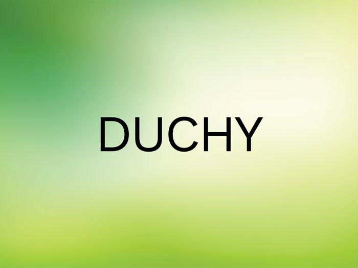 Wordle Answer - Duchy