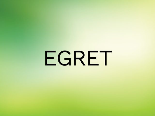 Wordle Answer - Egret