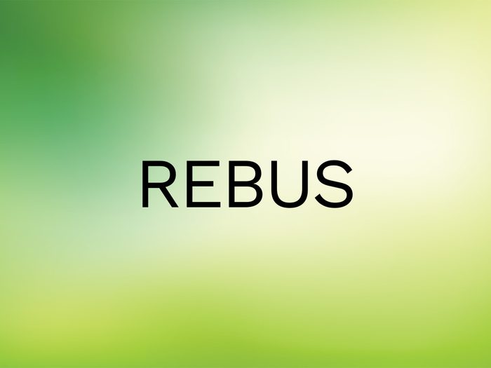 Wordle Answer - Rebus