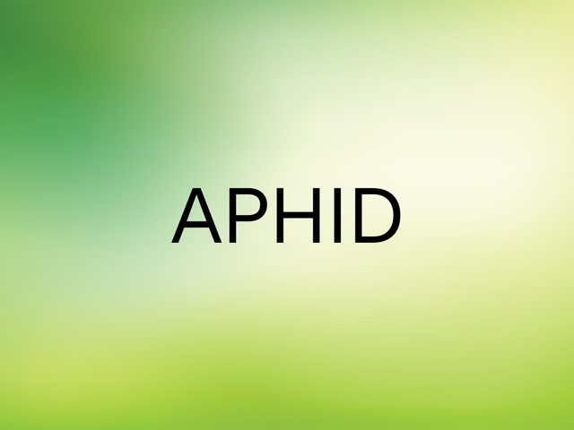 Wordle Answer - Aphid