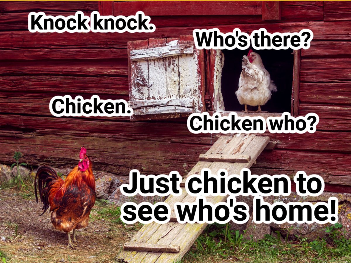 Chicken Jokes - Knock Knock