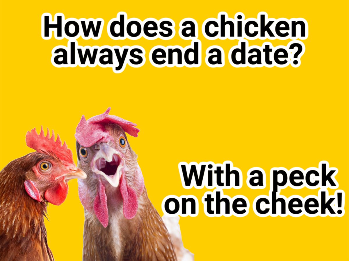 Chicken Jokes - Peck On The Cheek