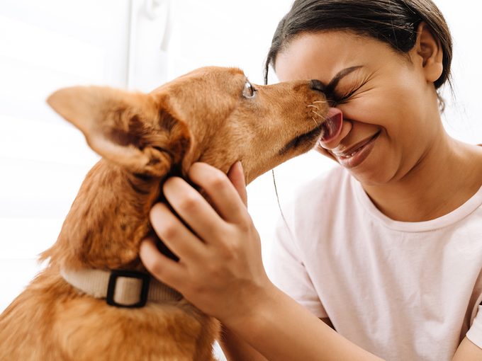 Benefits of owning a dog - dog licking owner's face