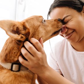 Benefits of having a dog - dog licking owner's face