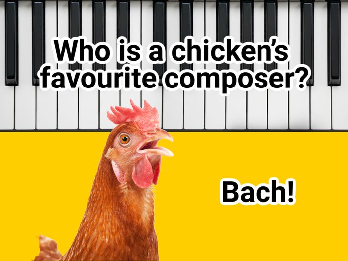 Chicken Jokes - Bach