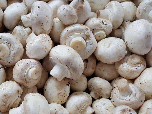 Mushroom Facts - white button mushrooms