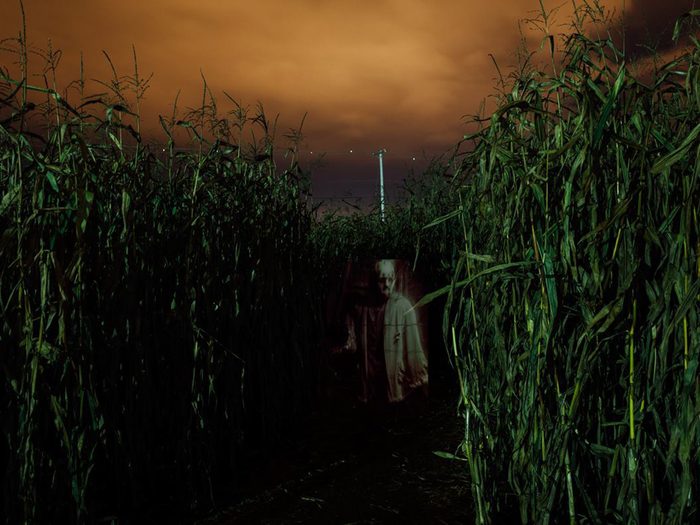 Festival Of Fear Halloween Things To Do - clown standing in dark cornfield 