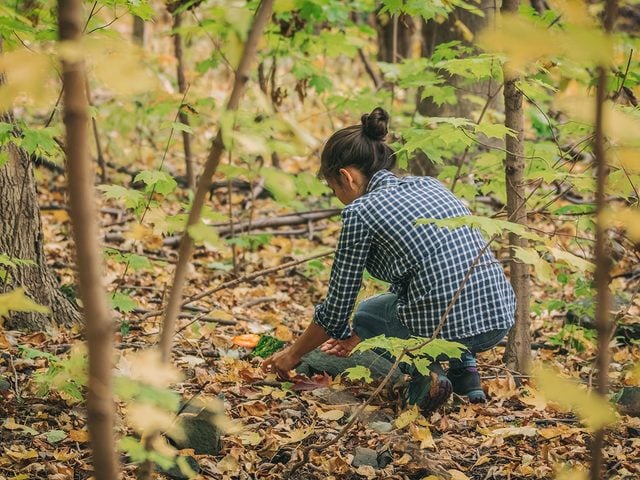Woman foraging in forest