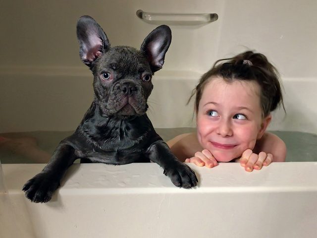 Heartwarming Dog Stories - Puppy In Tub